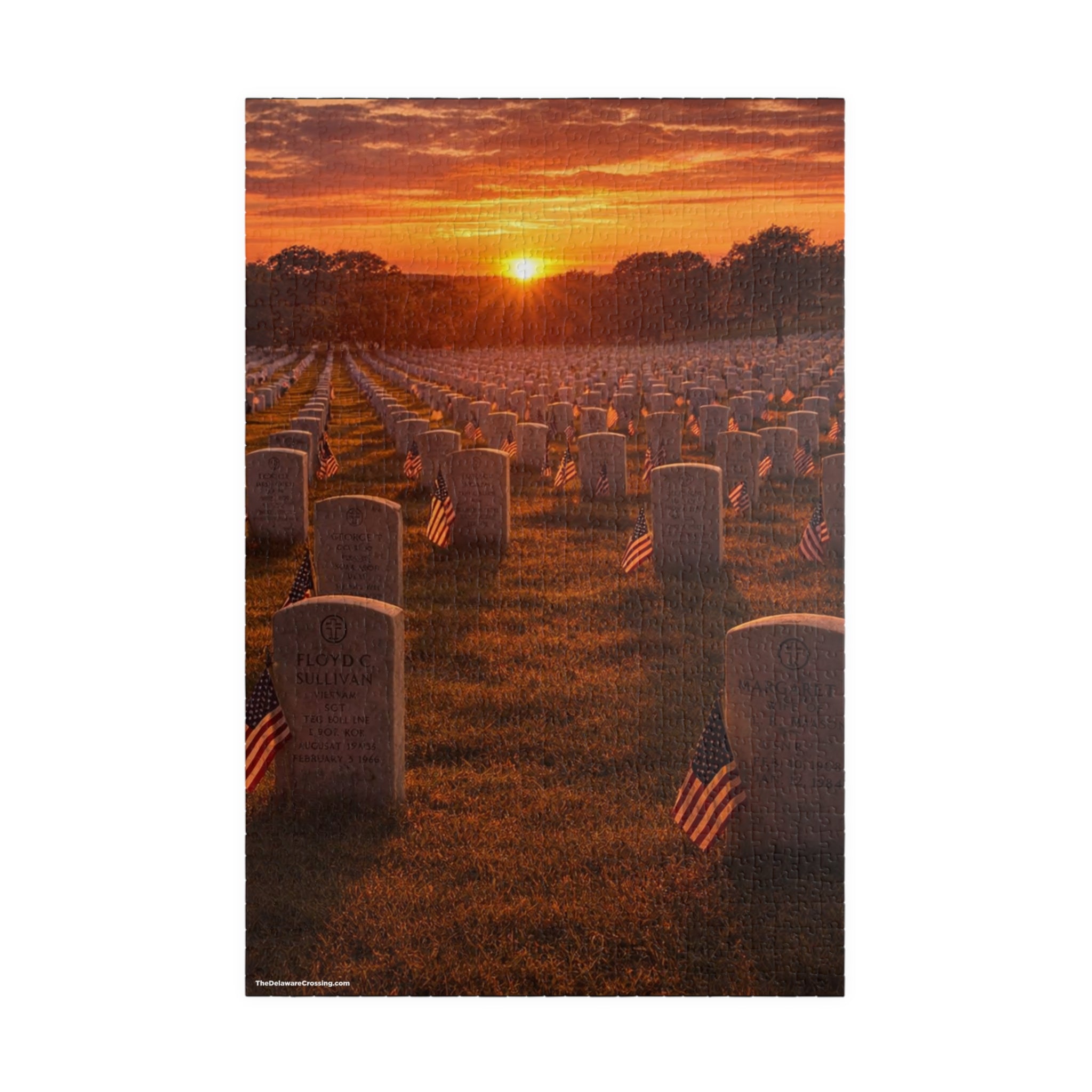 Arlington Honor Puzzle (520, 1014-piece)