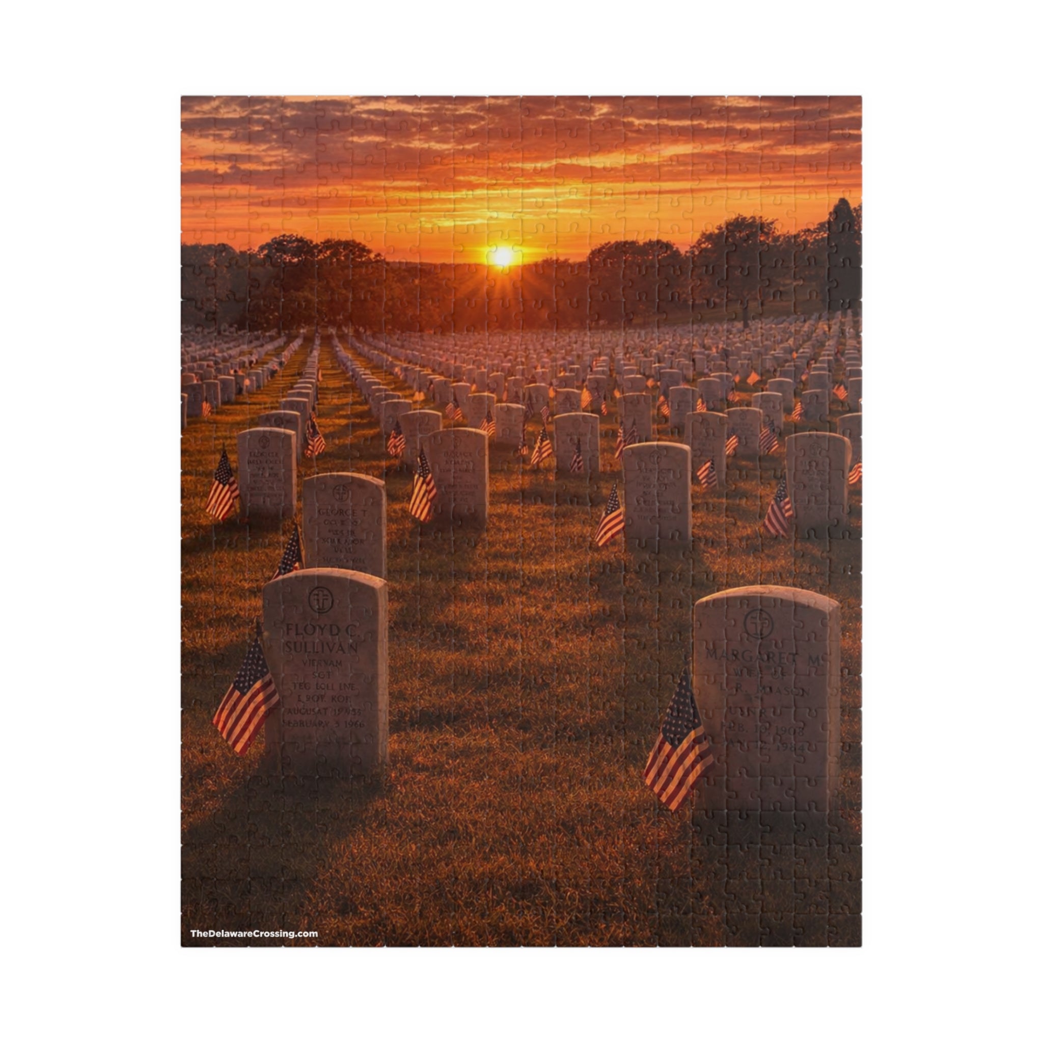 Arlington Honor Puzzle (520, 1014-piece)
