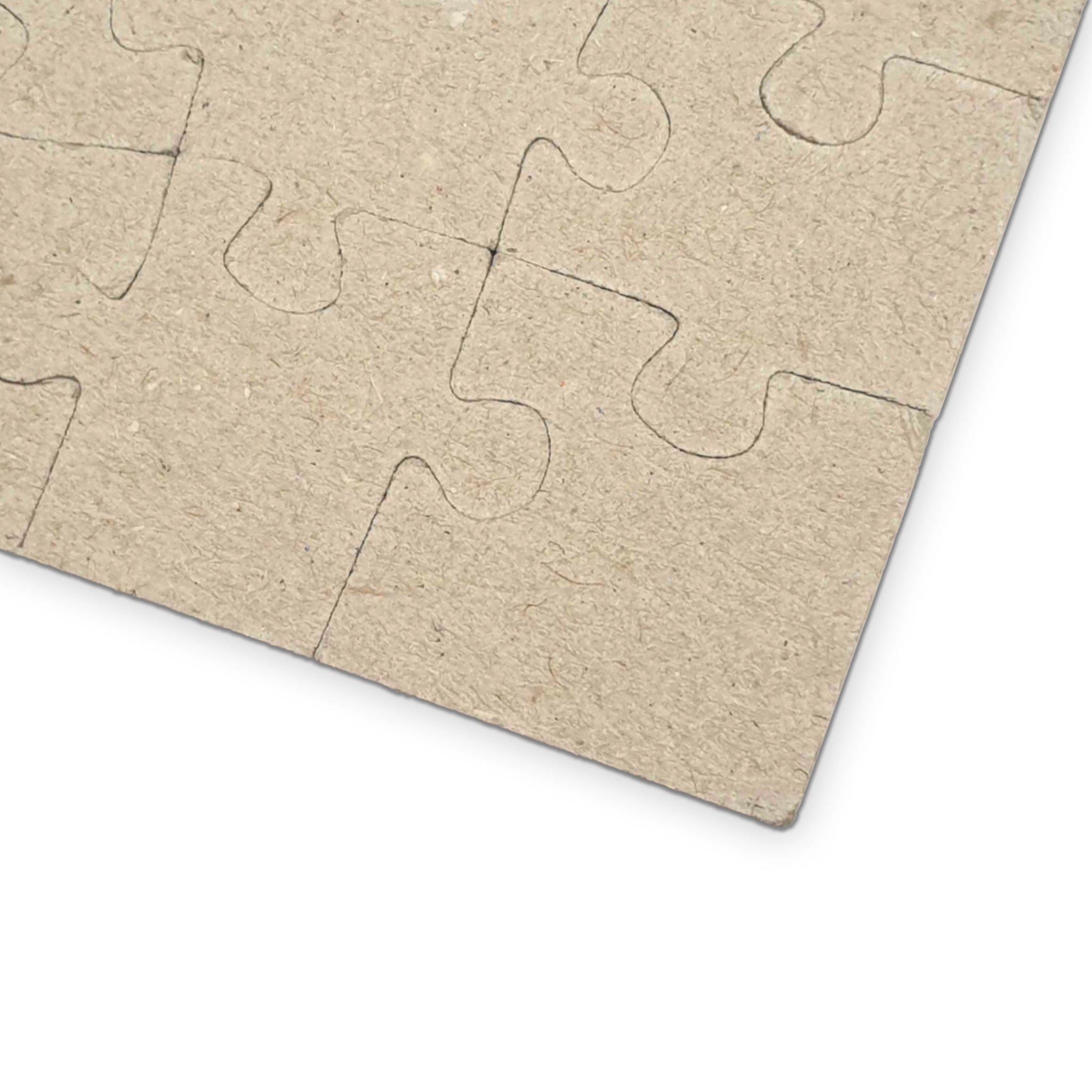 Arlington Honor Puzzle (520, 1014-piece)