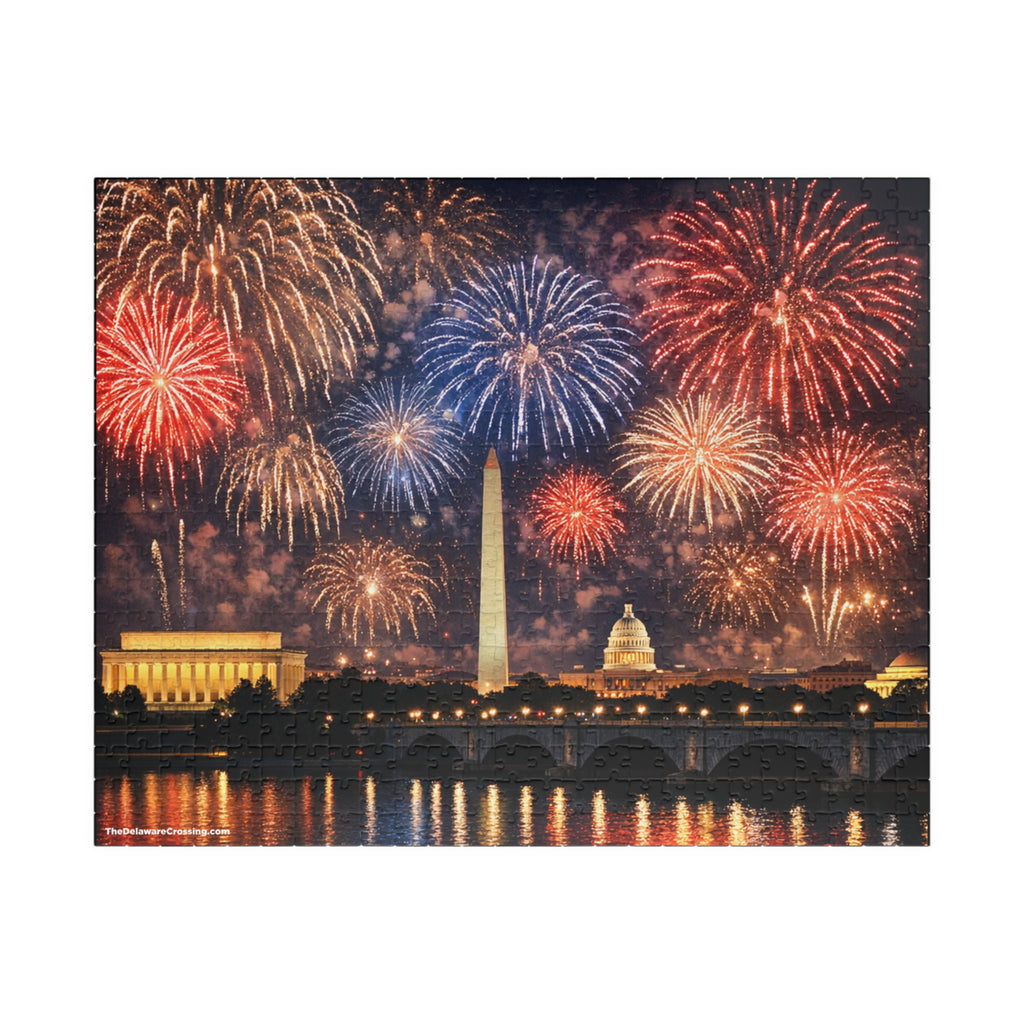 Washington D.C. Fireworks Puzzle (520, 1014-piece)
