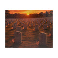 Arlington Honor Puzzle (520, 1014-piece)